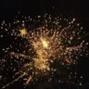 Meet your Posher, Shaunna